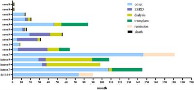 Genotype-phenotype correlation of WT1 mutation-related nephropathy in Chinese children